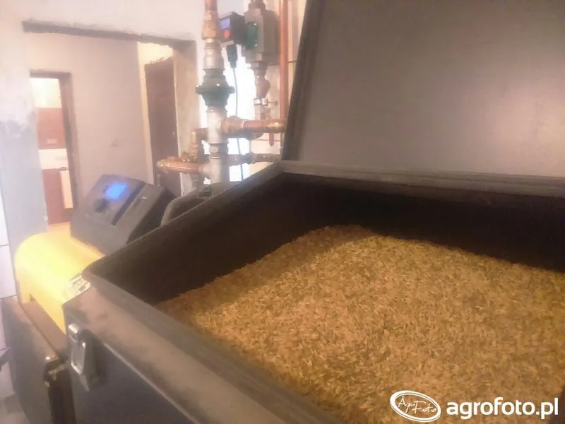 Piec na owies – skuteczny sposób na wykorzystanie zboża w piecu na ekogroszek