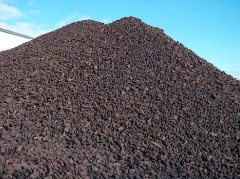 Elektrownie opalane węglem brunatnym