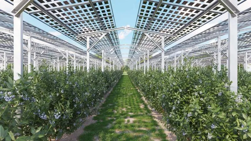 Fotowoltaika inwestycja