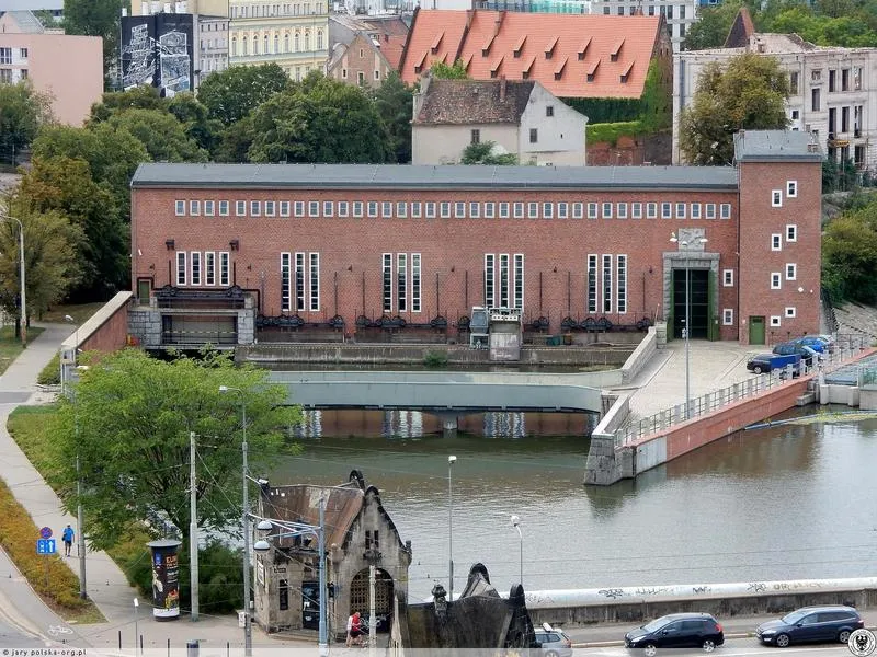 Wpływ na ekosystem i społeczność lokalną