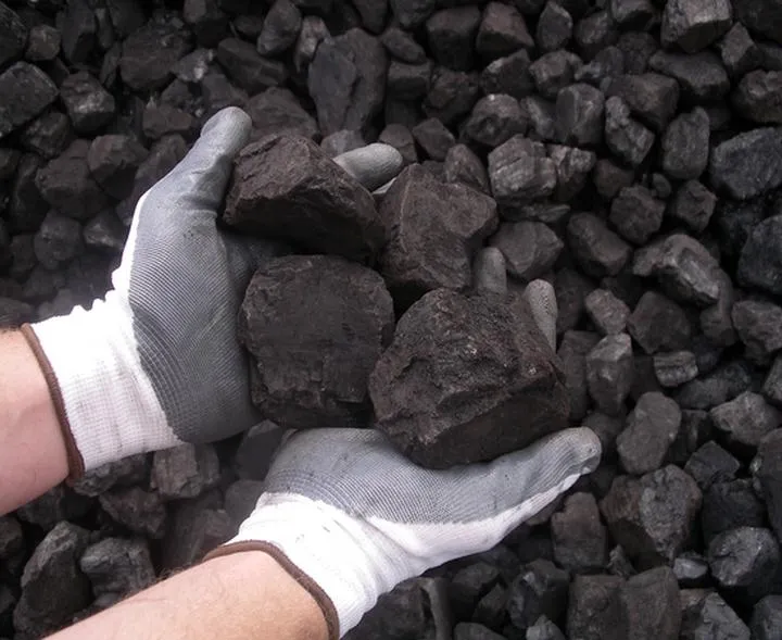 Zrównoważony rozwój i zielona transformacja